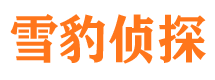 城子河市婚外情调查